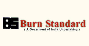 Burn Standard